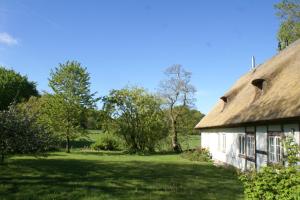 an old cottage with a thatched roof and a field at Kate Windeby in Windeby