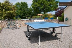 una mesa de ping pong azul sentada en un patio en Le POULAILLER, en Mareuil-sur-Lay