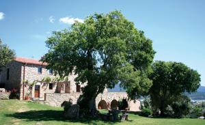 a large tree in front of a stone building at Can Palau in Agullana