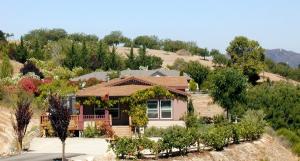 a house in the middle of a field at Sirena Vineyard Resort - 3 Bedroom guest house in Paso Robles