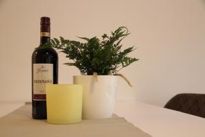eine Flasche Wein und eine Topfpflanze auf dem Tisch in der Unterkunft Casa Kronengarten Nr 1 in Hilden