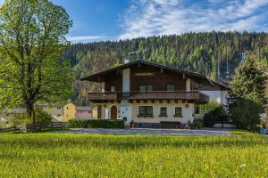 une grande maison au milieu d'un champ dans l'établissement Soldanella 2 by Alpenidyll Apartments, à Ramsau am Dachstein