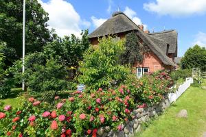 an old house with a stone wall and flowers at Ferien unterm Reetdach Whg 03 in Oevenum