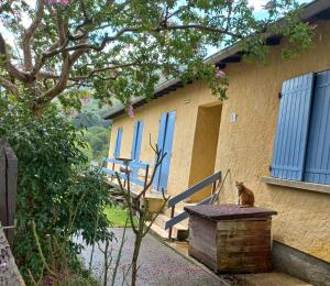 a cat sitting on a bench next to a building at Chambre spatieuse avec grand lit. in Aspet
