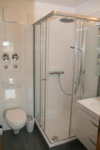 a bathroom with a shower and a toilet at Strandstraße 21 Whg 5 in Zingst