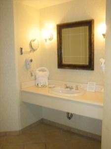 a bathroom with a sink and a mirror at Monumental Hotel Orlando in Orlando
