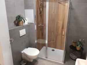 La salle de bains est pourvue d'une douche et de toilettes. dans l'établissement KaVi Apartments #3, TOP city view!, à Plzeň