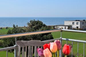 2 flores rosas en un balcón con vistas al océano en Fehmarnstrand 78 App 14, en Staberdorf