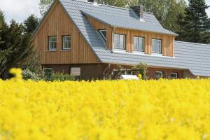 a house and a field of yellow rapeseed at die kleine Villa in Rieseby