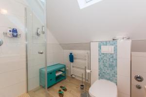 a bathroom with a toilet and a glass shower at Whg 08 - Fischers Lütte in Zingst