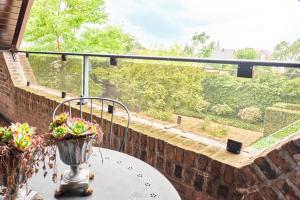 Rõdu või terrass majutusasutuses Pieters Huis