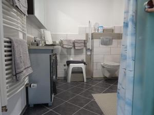 a small bathroom with a sink and a toilet at 5-Sterne-Fewo "Facette" in Allenbach