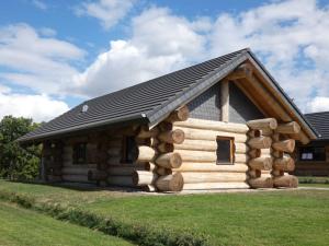 a log cabin with a black roof at Naturstammhaus Tollensesee in Krickow