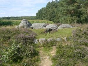 a group of rocks in a field with grass at Ferienwohnung Dehnsen in Amelinghausen