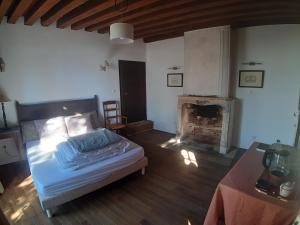 1 dormitorio con 1 cama y chimenea en Suite 2 - Les Grands Degrés Saint Louis, en Blois