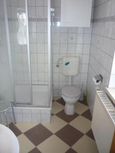 a bathroom with a toilet and a shower at Waldblick in Waltershausen