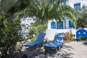 A garden outside White & Blue