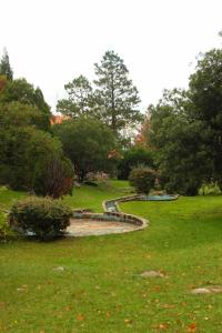 梅洛的住宿－Tatainti Chalet & Suite，田间中带池塘的花园