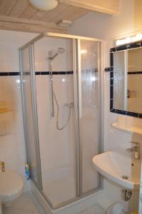 een badkamer met een douche, een toilet en een wastafel bij Ley in Dunsum