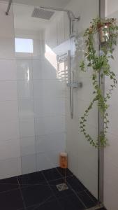 a bathroom with a shower with a plant in it at Megalight II in Sèvres