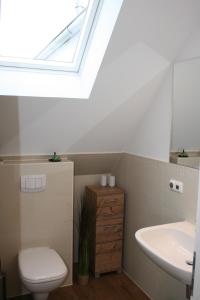 a bathroom with a toilet and a sink and a skylight at Whg 17 - De Mügg in Zingst