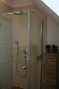 a shower with a glass door in a bathroom at Whg 17 - De Mügg in Zingst