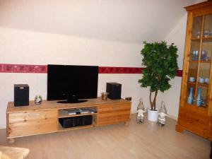 a living room with a television on a wooden entertainment center at Ferienwohnung PANTEN in Neukirchen