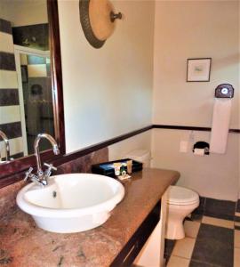 ein Bad mit einem Waschbecken und einem WC in der Unterkunft Sandford Park Country Hotel in Bergville
