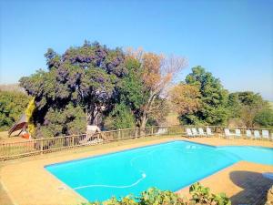 a blue swimming pool with chairs and a tree at Sandford Park Country Hotel in Bergville