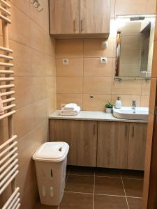 łazienka z toaletą i umywalką w obiekcie Prána Apartman w mieście Herend