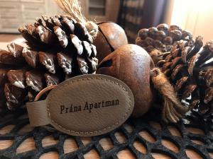 Fotografia z galérie ubytovania Prána Apartman v destinácii Herend