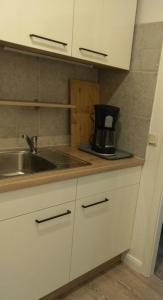 eine Küche mit einer Spüle und einer Arbeitsplatte in der Unterkunft See Harmonie Haus 4 Jahreszeiten in Hahnenklee-Bockswiese