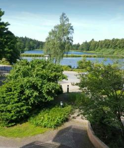 Blick auf einen Park mit Bäumen und einen See in der Unterkunft See Harmonie Haus 4 Jahreszeiten in Hahnenklee-Bockswiese