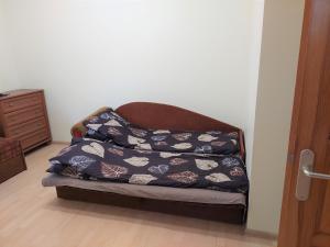 ein Sofa mit einer Decke auf dem Zimmer in der Unterkunft Butas Palangoje in Palanga