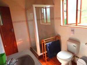 a bathroom with a shower and a toilet and a sink at Ashanti House - Living The Breede in Malgas +61 photos