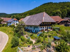 Gallery image of Ferienwohnung Belchenliebe in Schönenberg