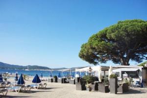 a tree on the beach with chairs and umbrellas at Villa-Golfe de Saint-Tropez/Accès plage privée in Grimaud