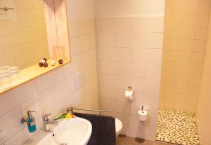 a bathroom with a sink and a shower at Ferienwohnung Helmsstraße I in Ebstorf