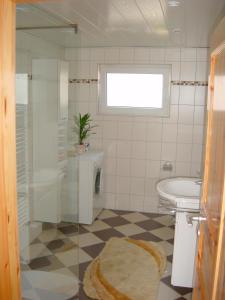 La salle de bains est pourvue d'une douche, de toilettes et d'un lavabo. dans l'établissement Kietzke, à Eckernförde