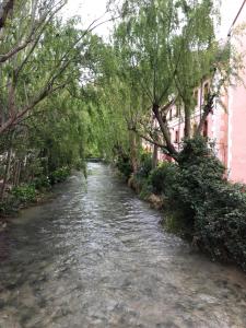 a river with trees on the side of it at Hotel Balneario de La Virgen in Jaraba