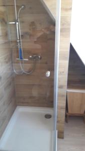 a shower in a bathroom with a wooden wall at Ferienwohnung Max 2 in Grube