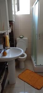Koupelna v ubytování APARTMAN SUNFLOWER