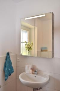a bathroom with a sink and a mirror at Achter de Höf Whg 2 in Staberdorf