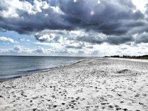 una playa con huellas en la arena y un cielo nublado en Ferienhaus-Engelking, en Dahme