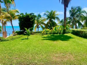 a lawn with palm trees and the ocean in the background at Casa Bonita and villas in Isla Mujeres