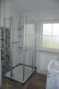 a shower with a glass door in a bathroom at Am Deich 15 in Zingst