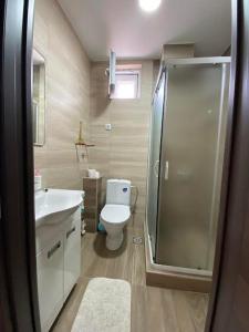 y baño con ducha, aseo y lavamanos. en Dom apartmani en Kragujevac