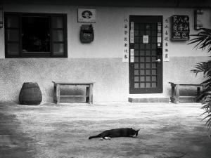 Fotografie z fotogalerie ubytování Qu Hi Home Stay v destinaci Ťiou-fen