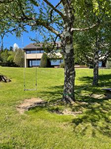 a tree in a field with a swing at Val Du Rio in Le Chambon-sur-Lignon