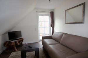 Haby的住宿－Herrmannshof Haby App 4 Noor，带沙发和电视的客厅